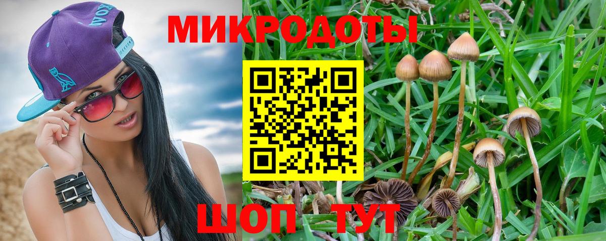 Галлюциногенные грибы Psilocybe  Псилоцибиновые грибы прущие грибы  Вход с VPN  Пыть-Ях 